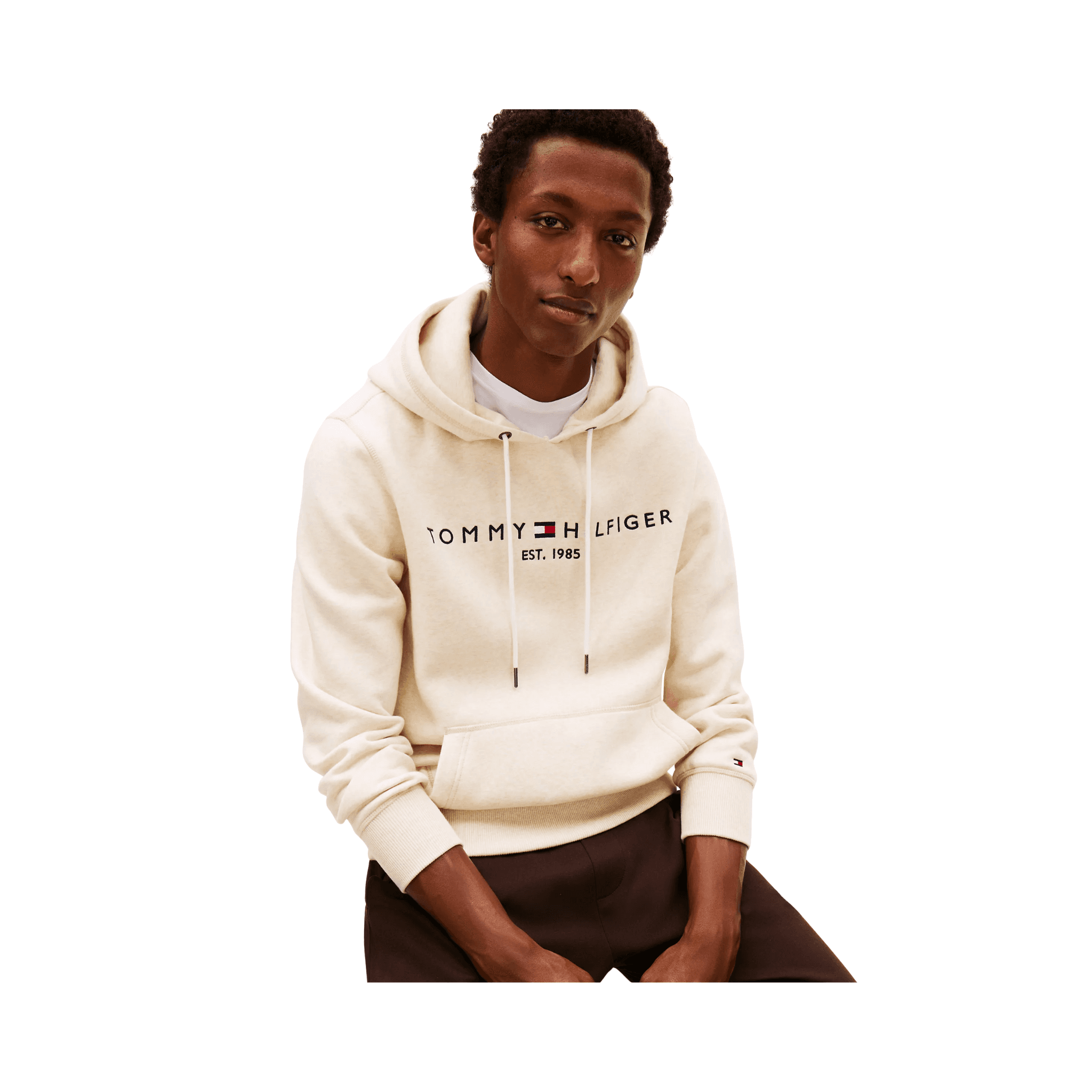 Embroidered Tommy Logo Hoodie