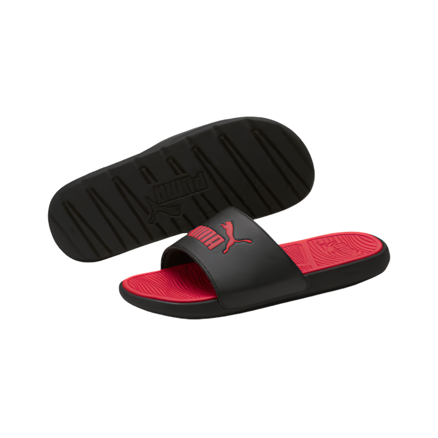 Cool Cat 2.0 Slides