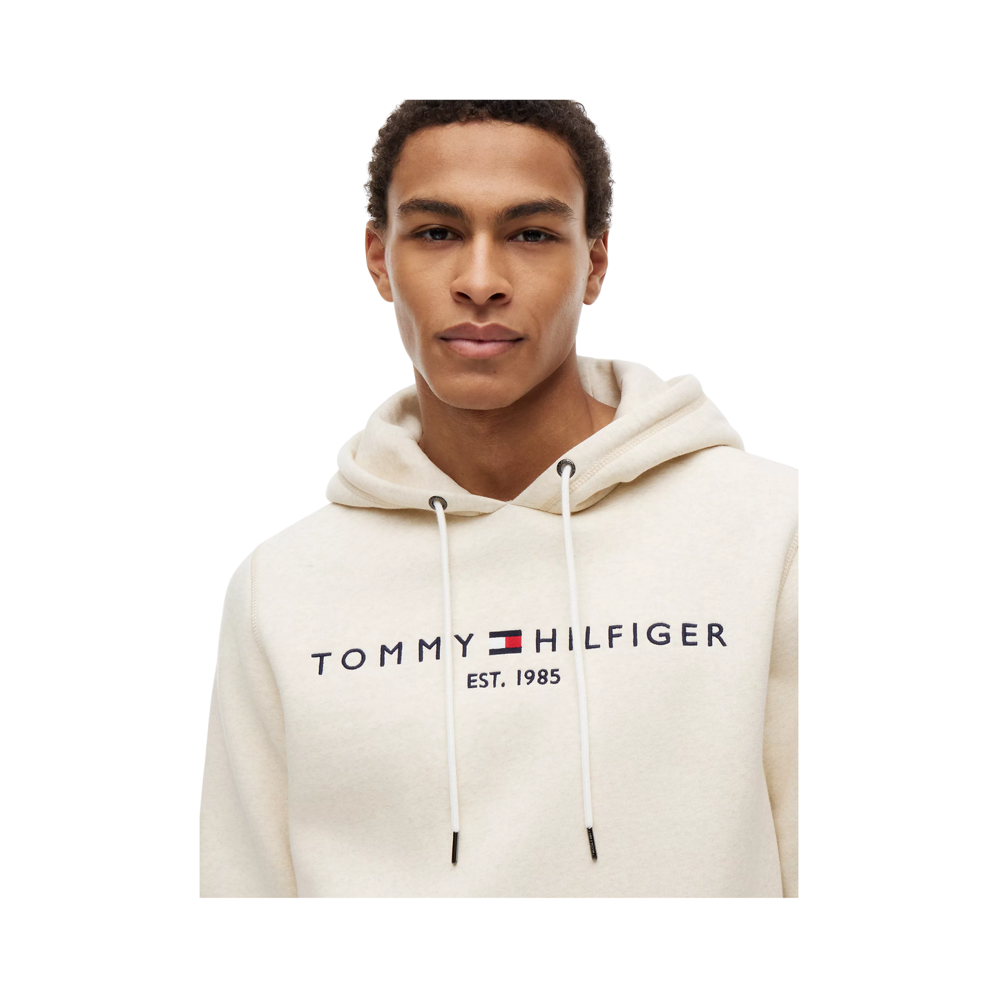 Embroidered Tommy Logo Hoodie