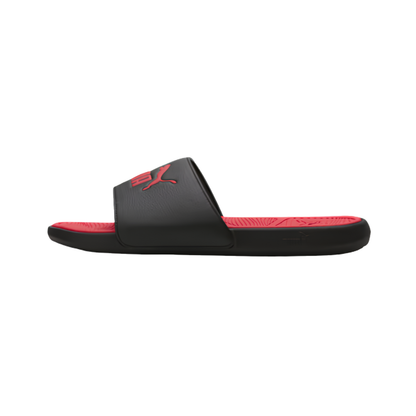 Cool Cat 2.0 Slides