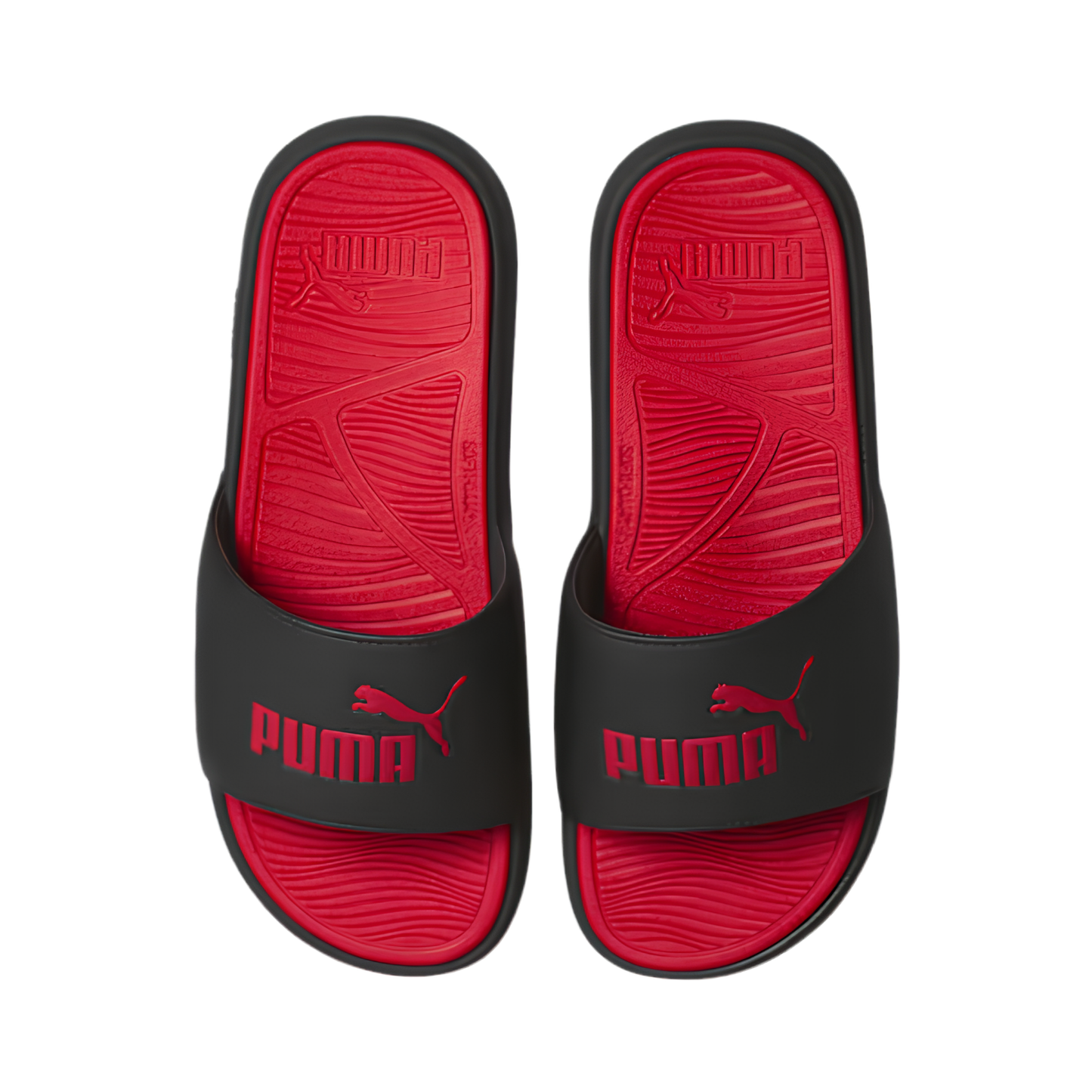 Cool Cat 2.0 Slides